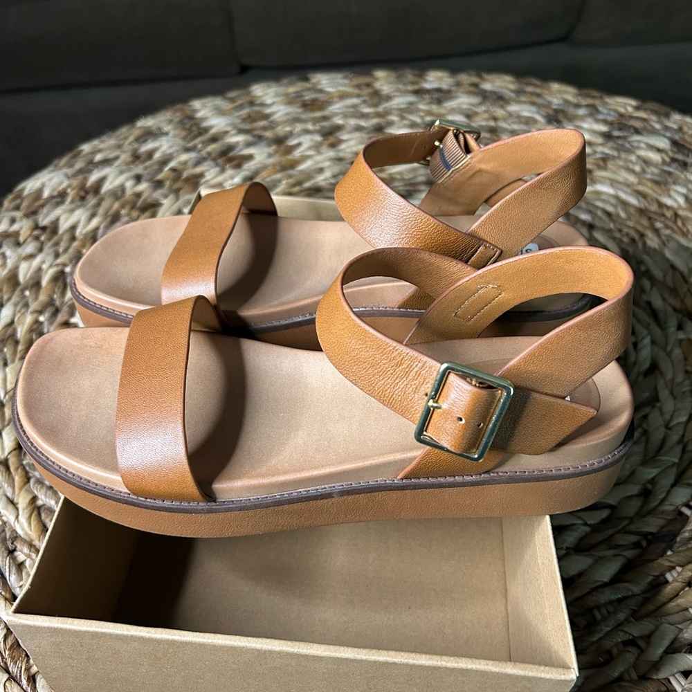 Steve Madden Brown Strappy Sandals with Buckle